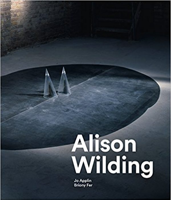Alison Wilding book cover