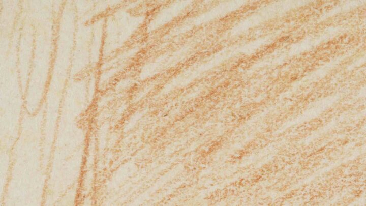 A drawing of a woman sitting up in bed behind a pullback curtain, cradling her tightly swaddled child. She gazes directly out to the viewer.