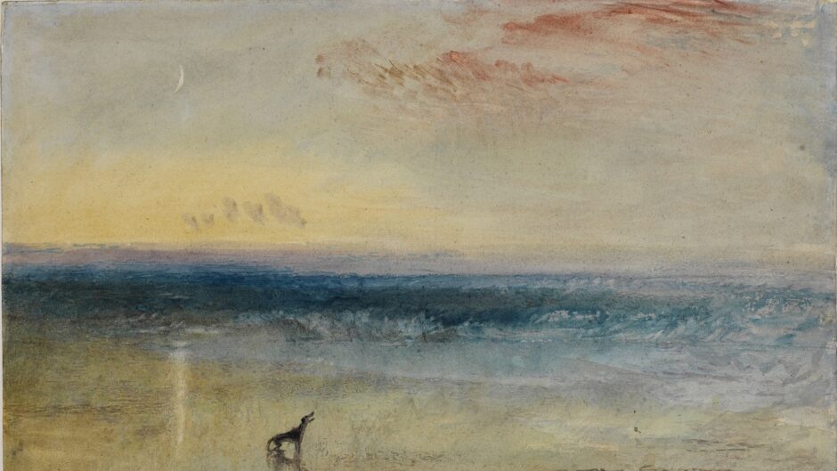 Dog on beach