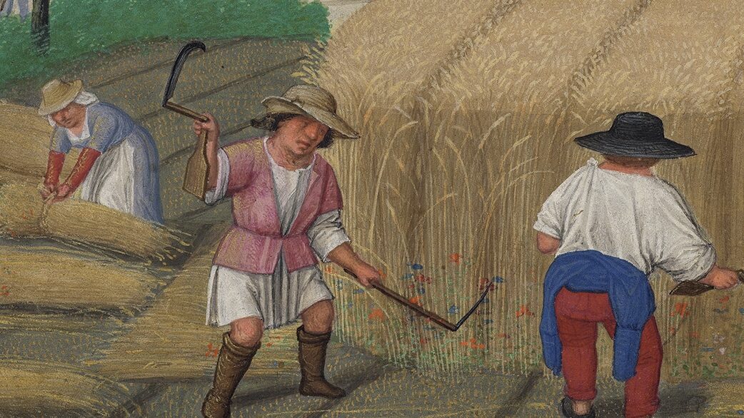 pastoral scene of two workers cutting hay