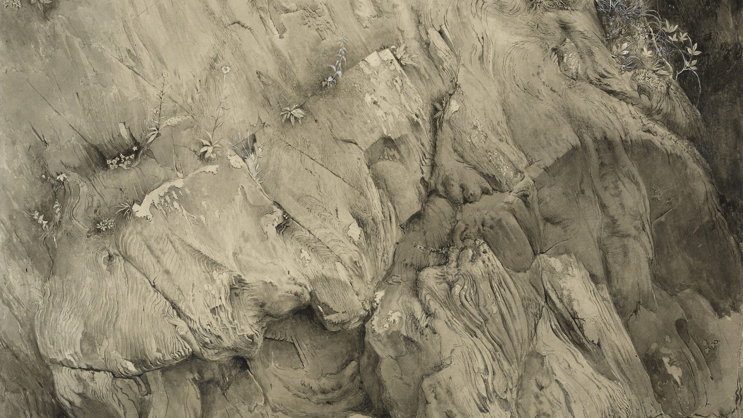 Study of Gneiss Rock