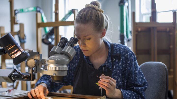 Conservation of easels student