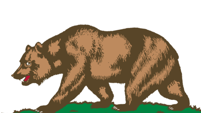 A cropped image of the flag of California, with a bear walking across grass