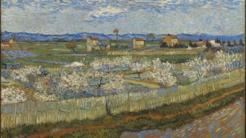 A field of peach trees with houses dotted about; there are mountains in the background.