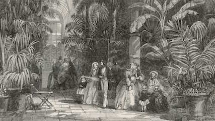 An engraving of the interior of the Palm House at Kew Gardens in 1852