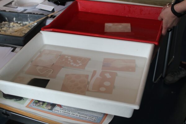 developing trays for analogue photographs