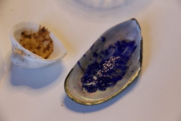 blue pigment in a shell