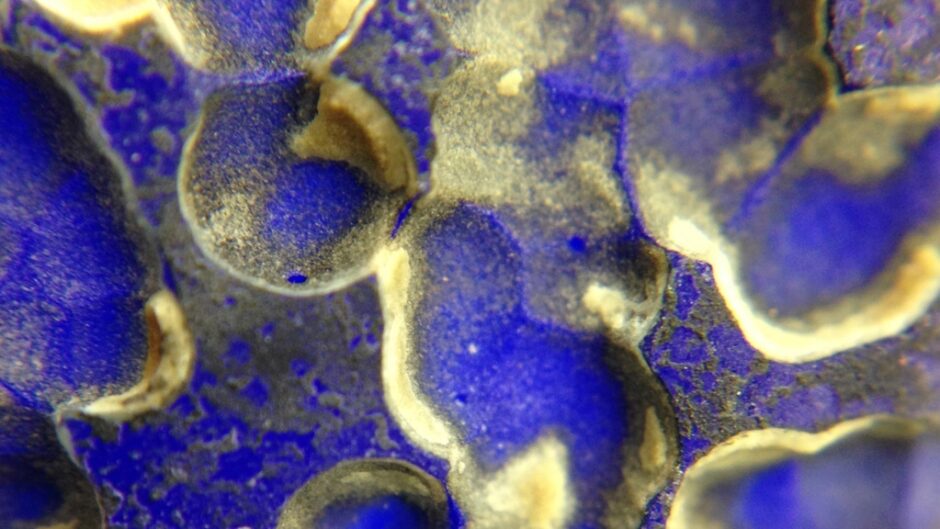 close up abstract pattern in blue and gold