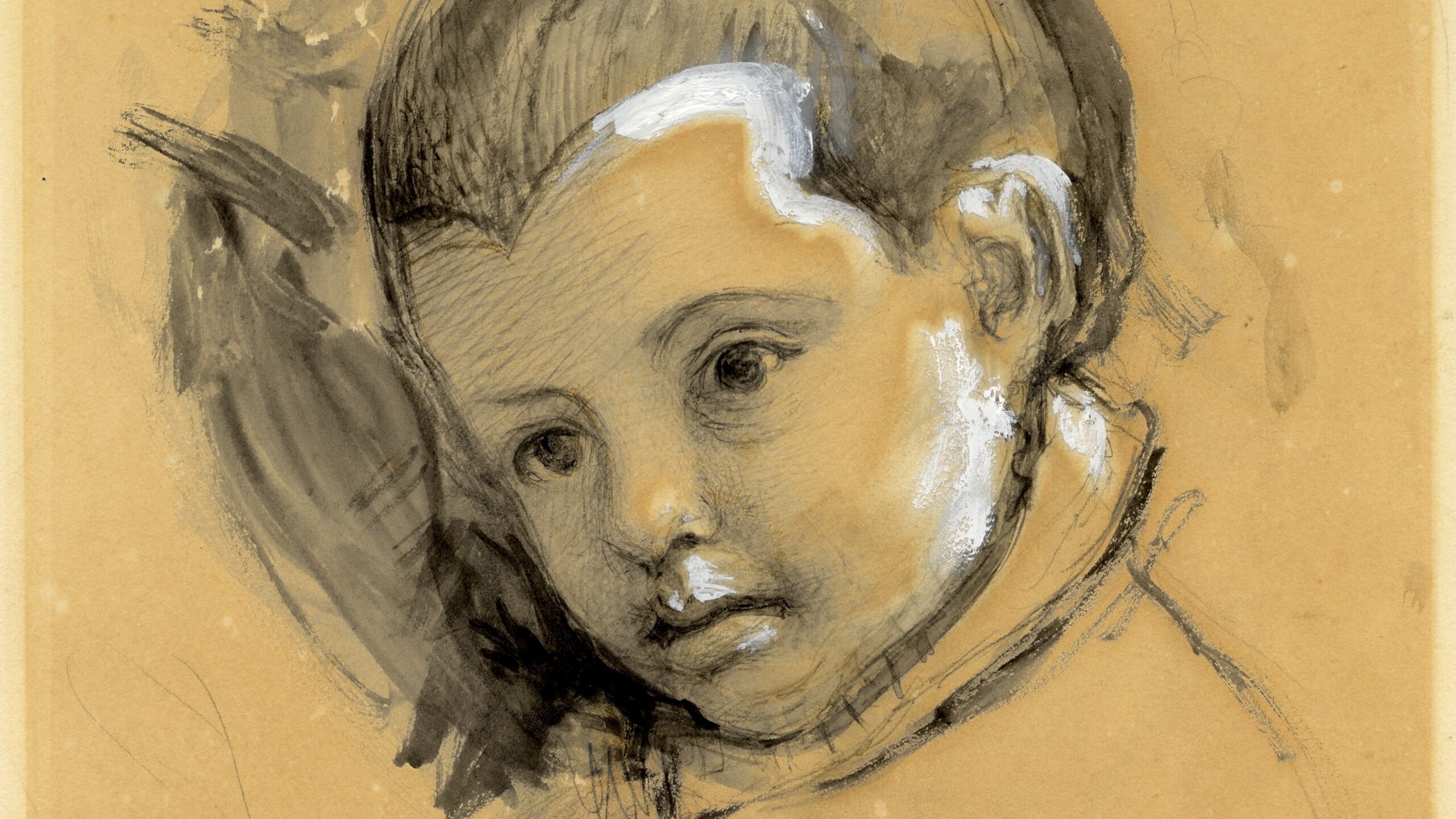 copy of the Head of a Boy, from Veronese’s ‘Cucina Family’