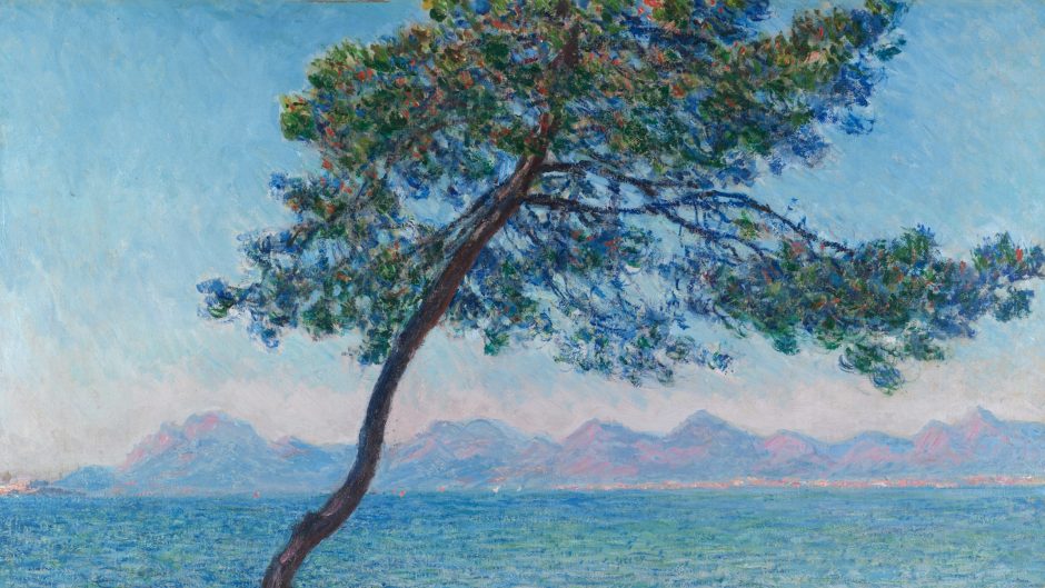 A tree by a lake. It is very calm.