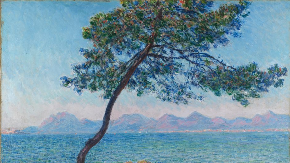 A tree by a lake. It is very calm.