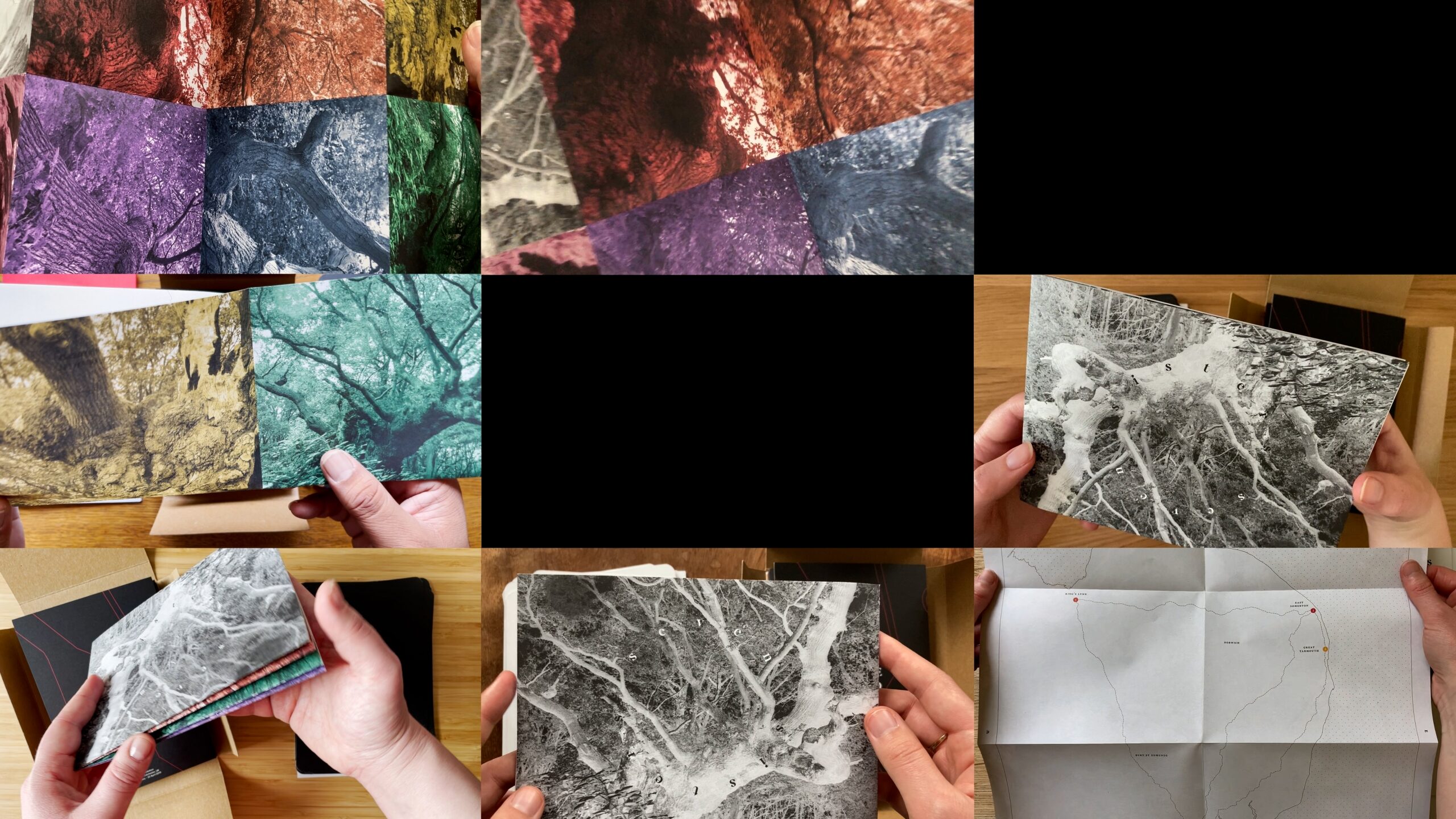 A still from a film showing nine rectangular boxes containing hands holding photographs