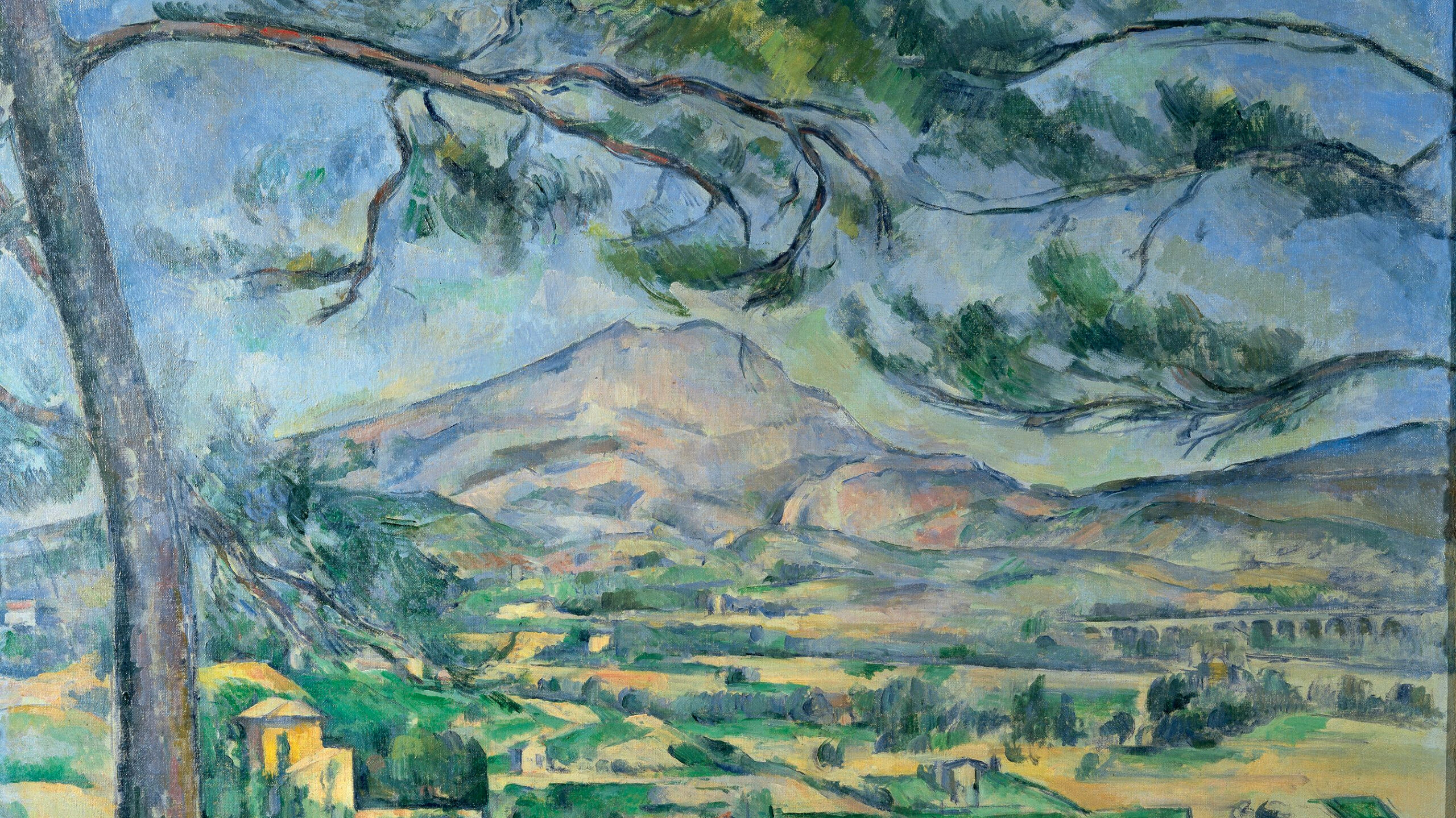 Large pine and scene of landscape and town