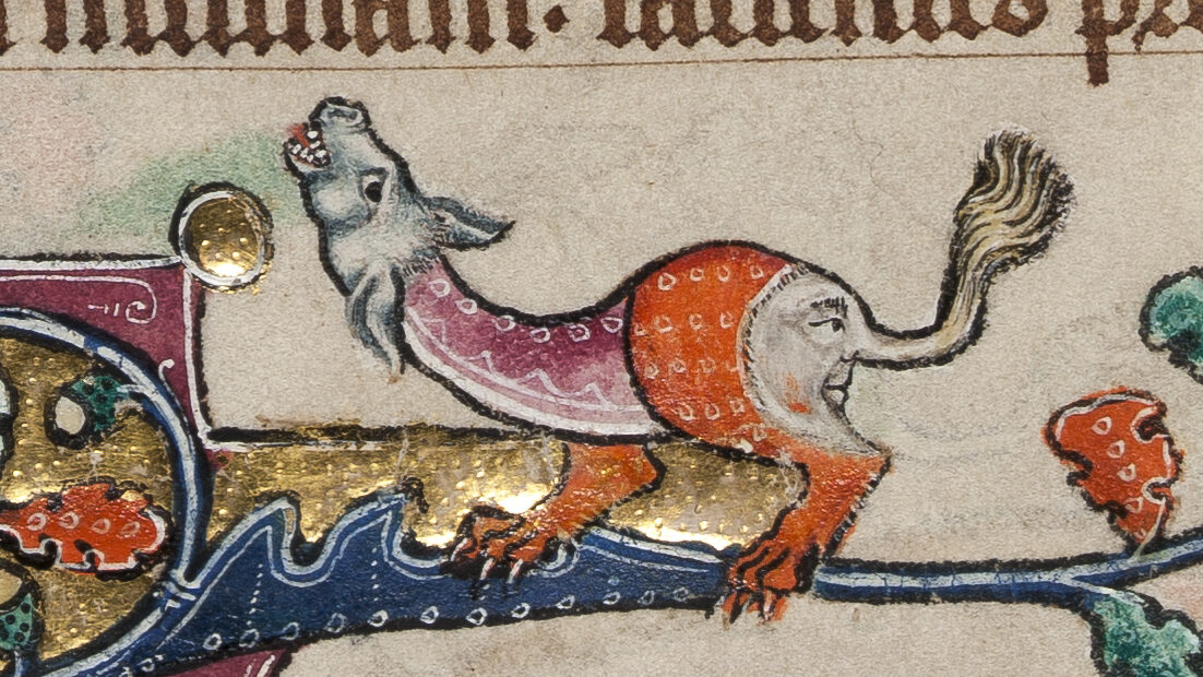 Illuminated Manuscript. The Macclesfield Psalter. Psalter in Latin; Use of Sarum. 252 folios. Parchment, 170 mm x 108 mm. Total dimensions: height 180 mm, width 120 mm, depth 65 mm. Script: Gothic bookhand (textualis). English, East Anglian. Circa 1330.