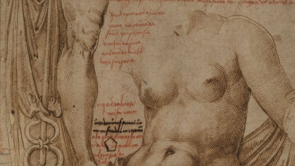 Sculpture of body