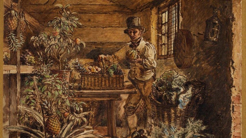 A man gardening