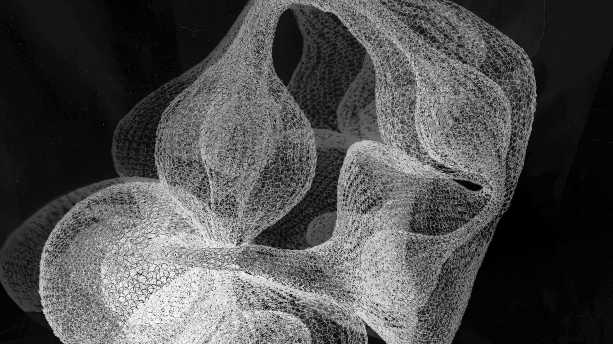 mogen Cunningham, Form within a Form Sculpture