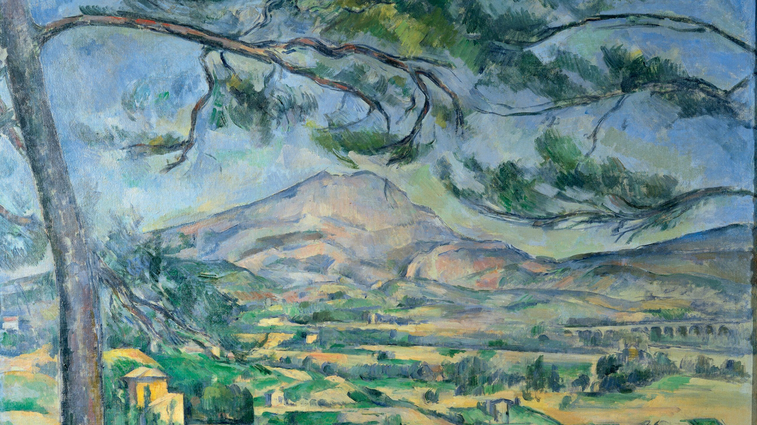 Large pine and scene of landscape and town