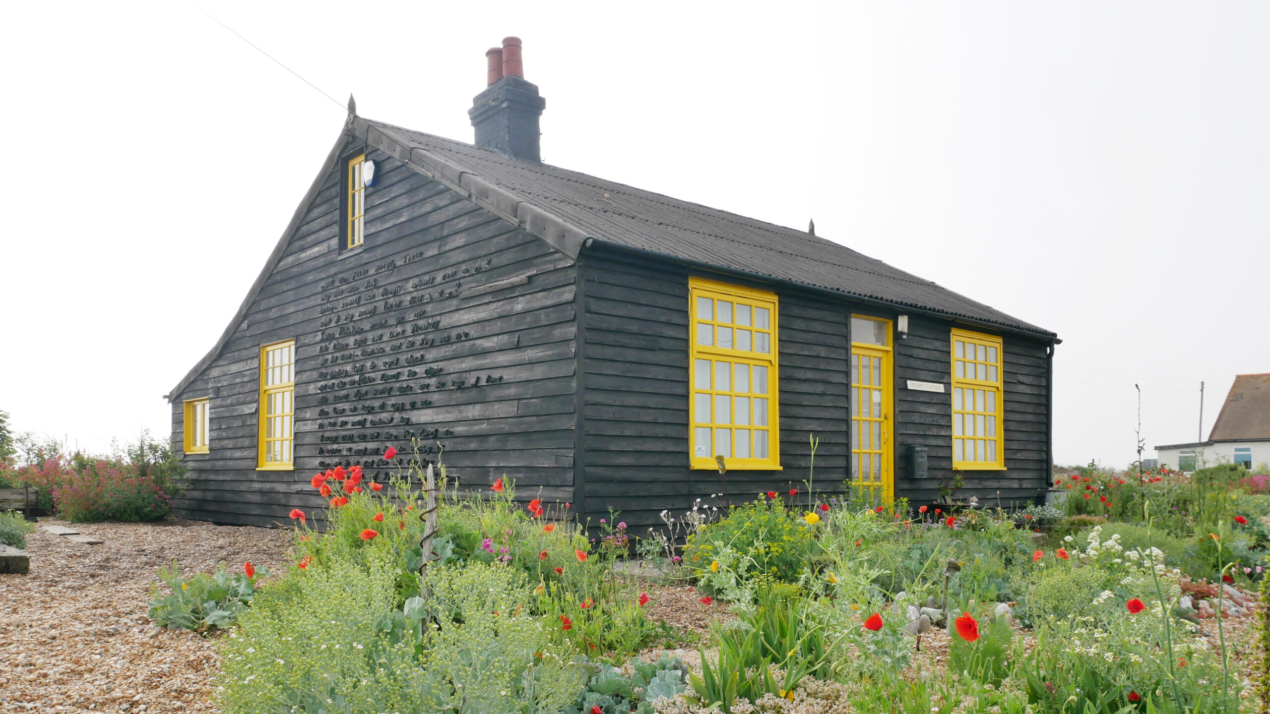 Derek Jarman’s garden (June 2021). Prospect Cottage