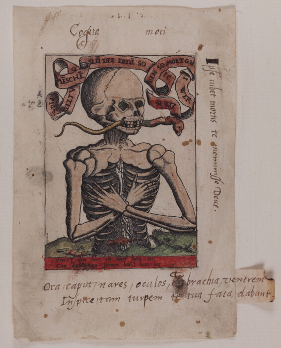 drawing of a skeleton with arms folded in chest