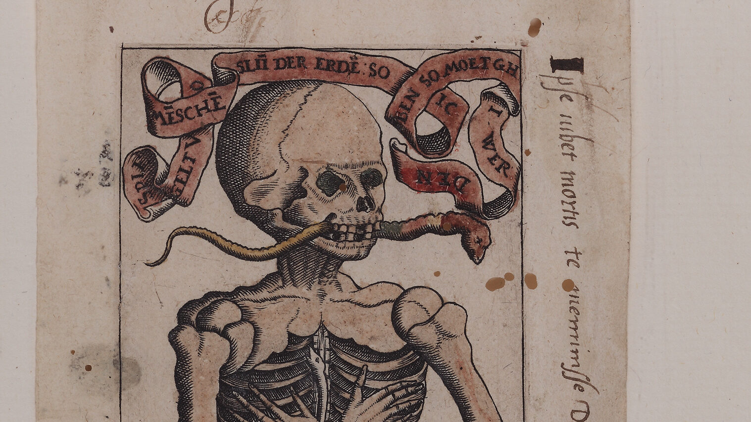 drawing of a skeleton with arms folded in chest