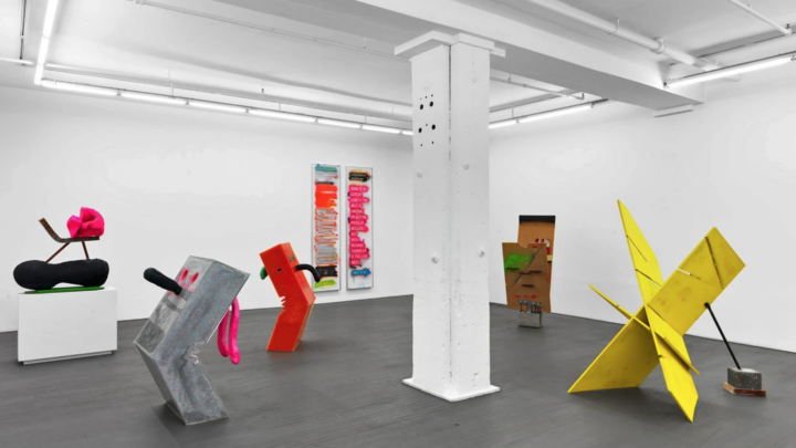 Installation shot of Harry Dodge's In This Hole / Honey Bucket and Fuck Me / Who’s Sorry Now in The Cybernetic Fold, 2015, Wallspace Gallery, New York.