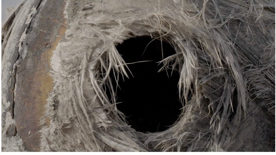 picture of a black hole surrounded by white feathers