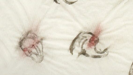 Front cover of the book. Text on the cover tells us the author - Rachel Warriner - and the title - Pain and Politics in Postwar Feminist Art: Activism in the work of Nancy Spero. The background behind this shows abstract screaming skulls with red rays coming from their eyes.