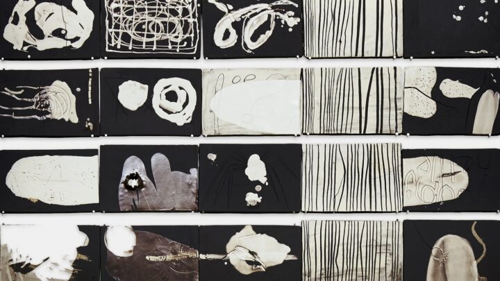 Phoebe-Collings-James