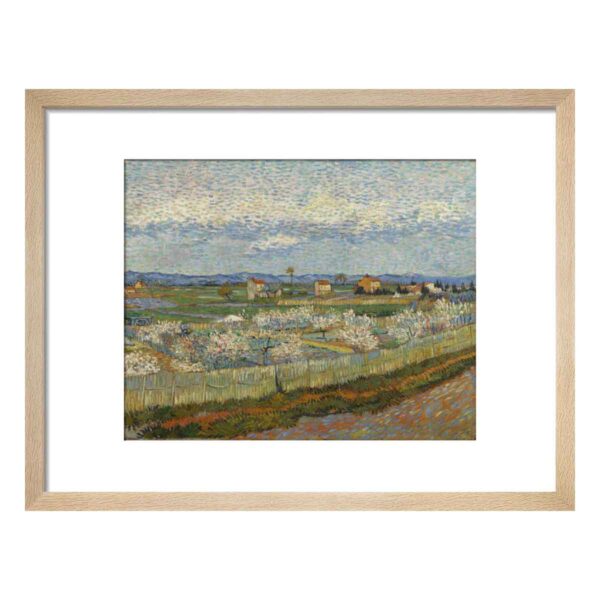 Framed Print of Peach Trees in Blossom by Van Gogh