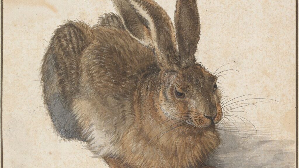 A Hare