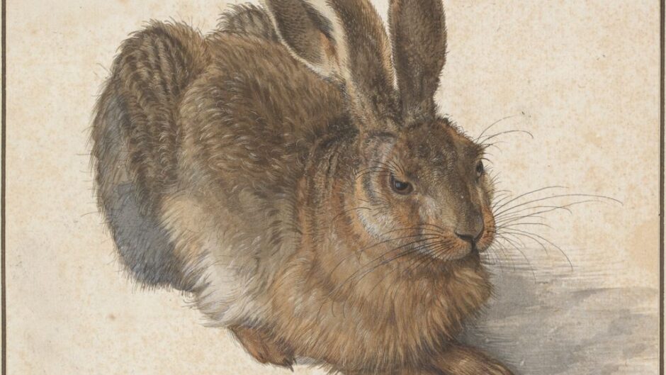 A Hare