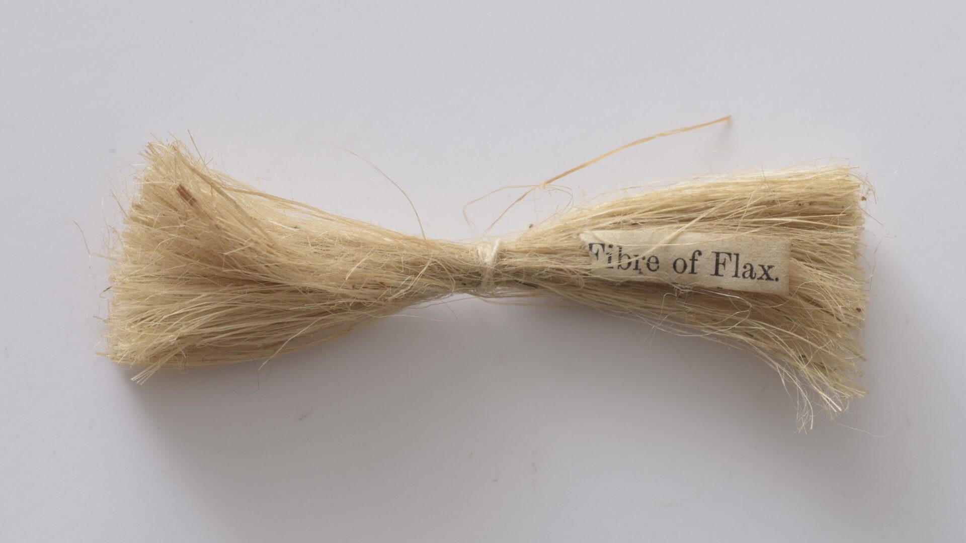 Photograph of a bundle of flax tied in the middle with string to form a bow shape