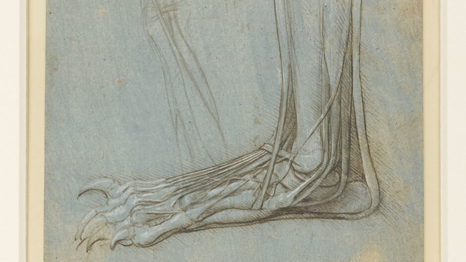 pen drawing of a foot's anatomy