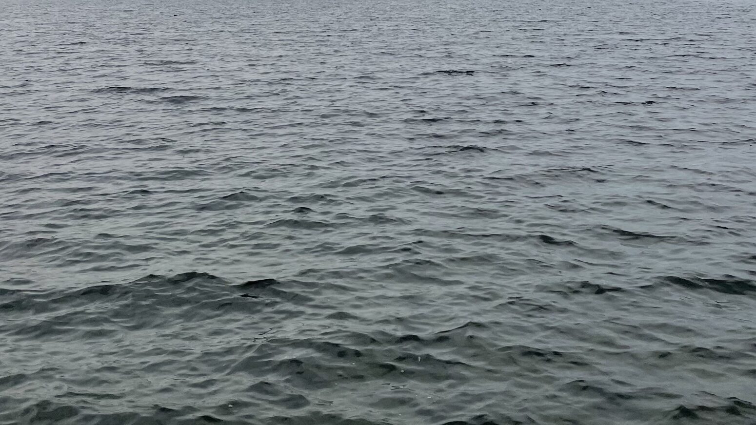 waves in the sea