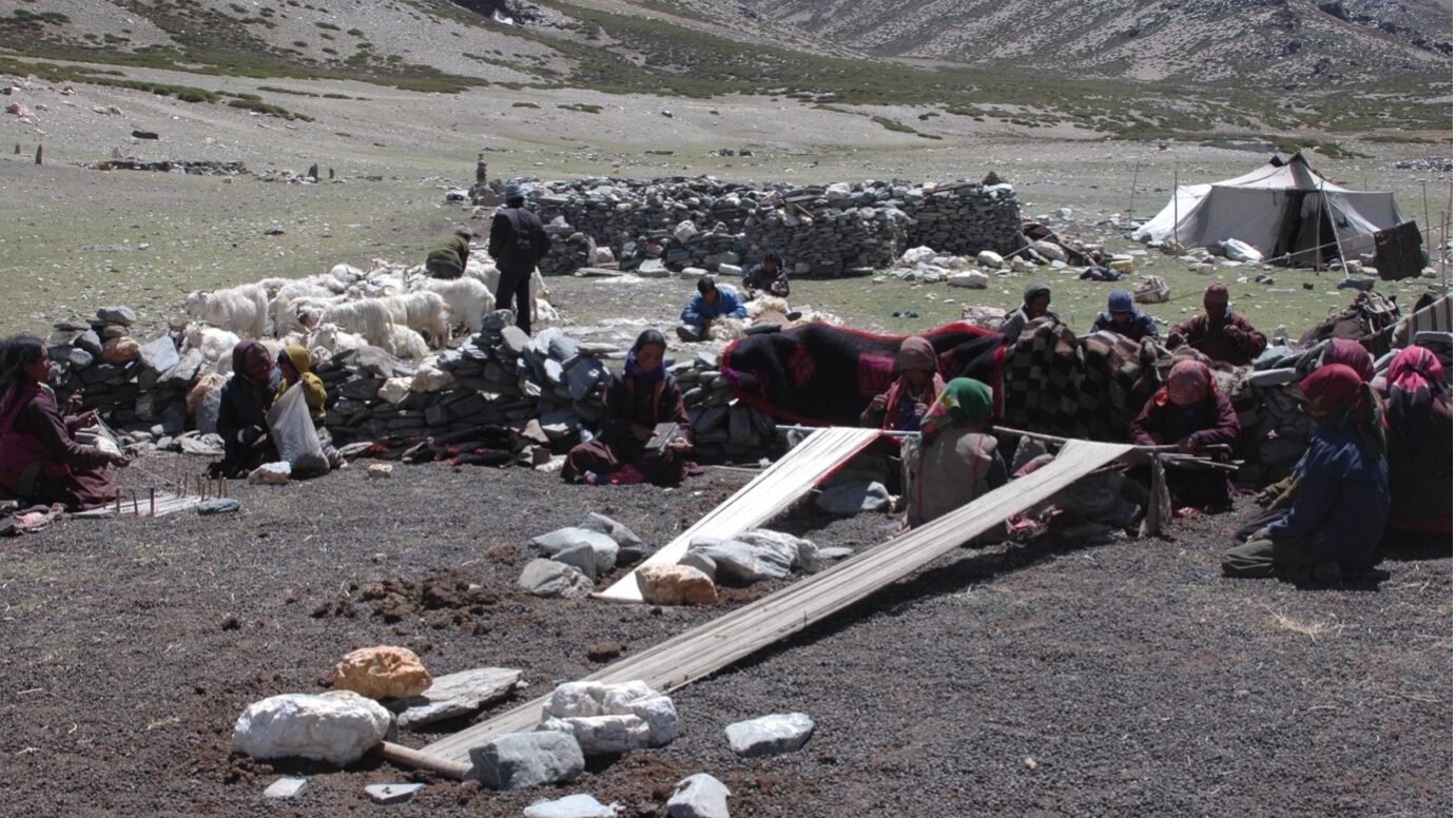 Camp amongst the Changpa, nomadic pastoralists from Changthang. Women are weaving on Backstrap looms, while one is laying a warp (left) and another is carding wool (centre). Behind them men are combing pashmina.