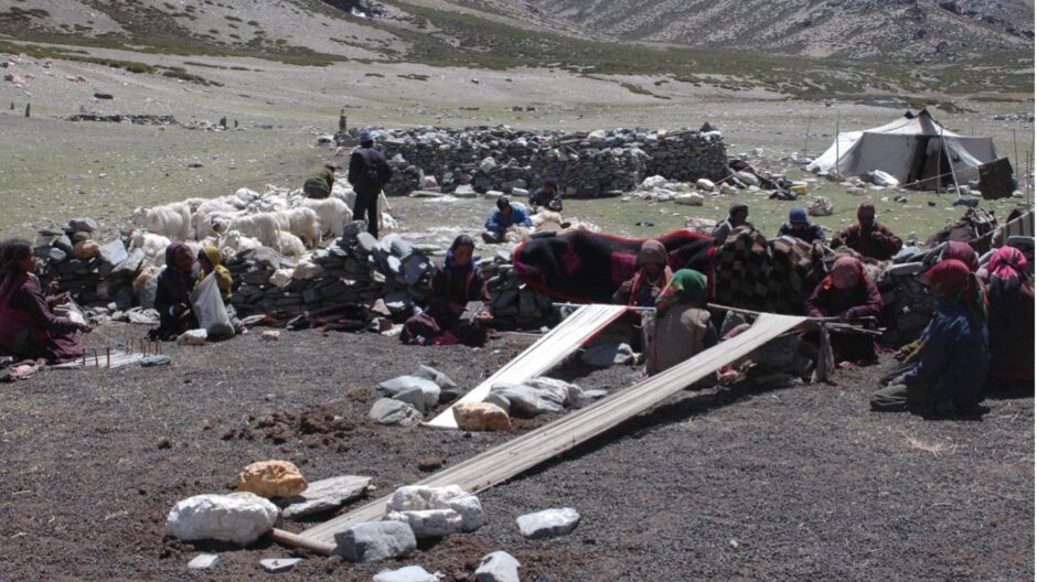 Camp amongst the Changpa, nomadic pastoralists from Changthang. Women are weaving on Backstrap looms, while one is laying a warp (left) and another is carding wool (centre). Behind them men are combing pashmina.