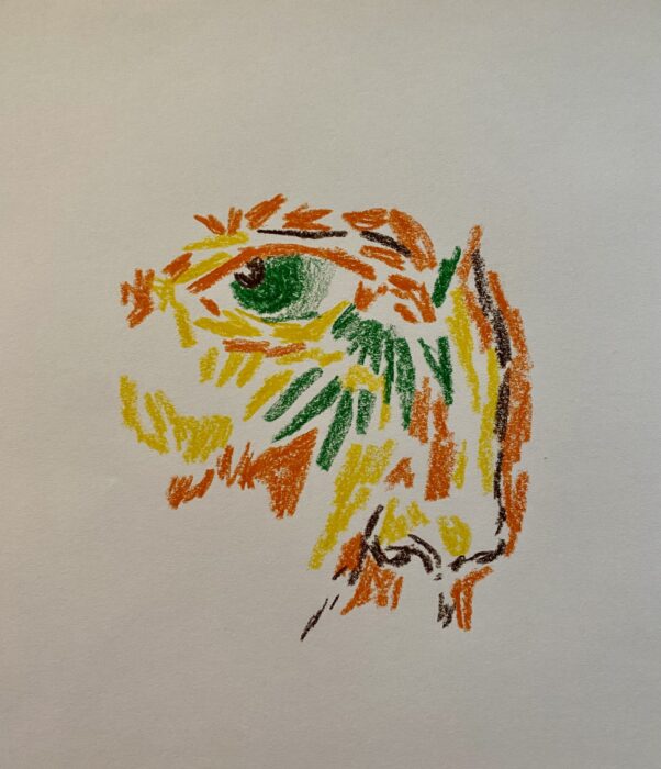 Multiple, colourful pastel strokes which form an eye and nose