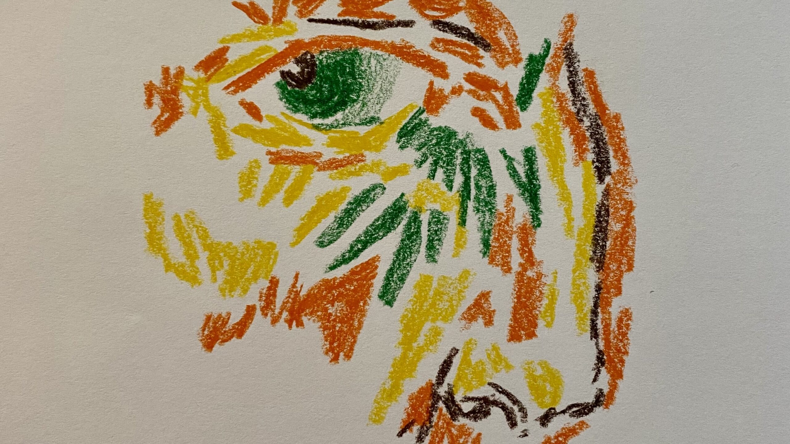 Multiple, colourful pastel strokes which form an eye and nose