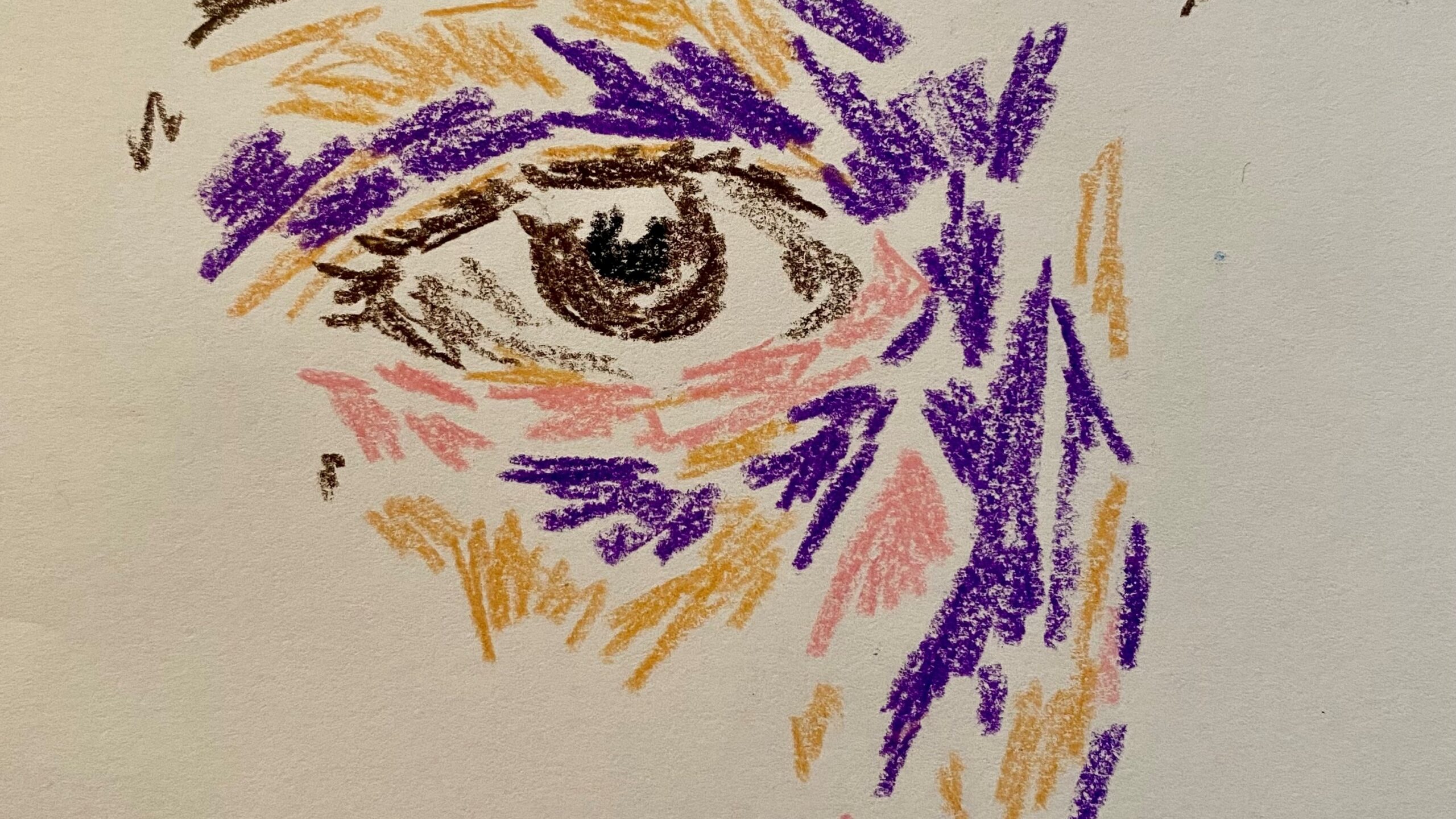 Multiple, colourful pastel strokes which form an eye and nose