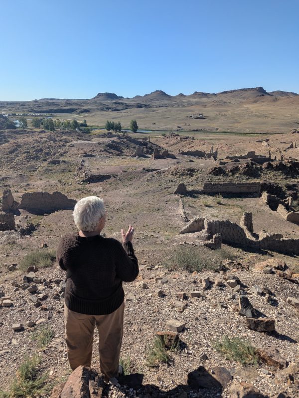 a figure faces away from the camera and looks out onto a desert landscape.