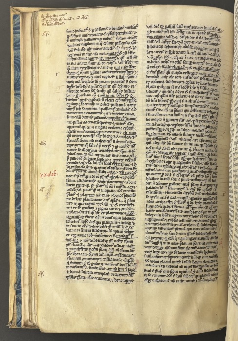 Stephen Langton, extract from the allegorical exposition of Genesis 9:20–27 in Postillae super Genesim showing the second line of the Cham ridet couplet, copied 13th century.