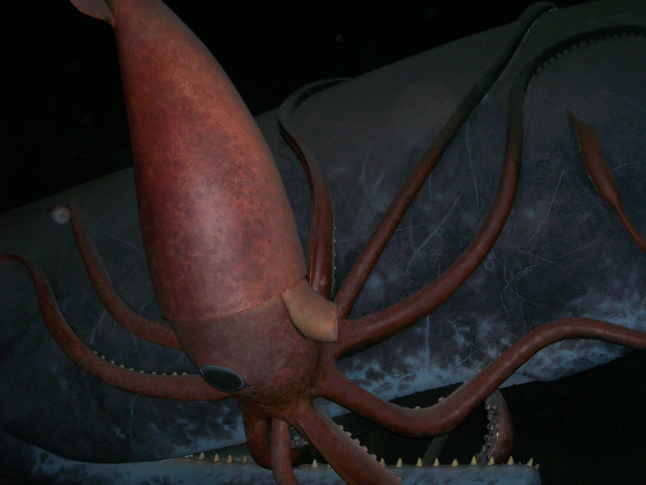 computer generated image of a large red squid in dark water being attached by a whale.