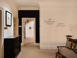 An image of Leonora Carrington exhibition at the Freud Museum, London.