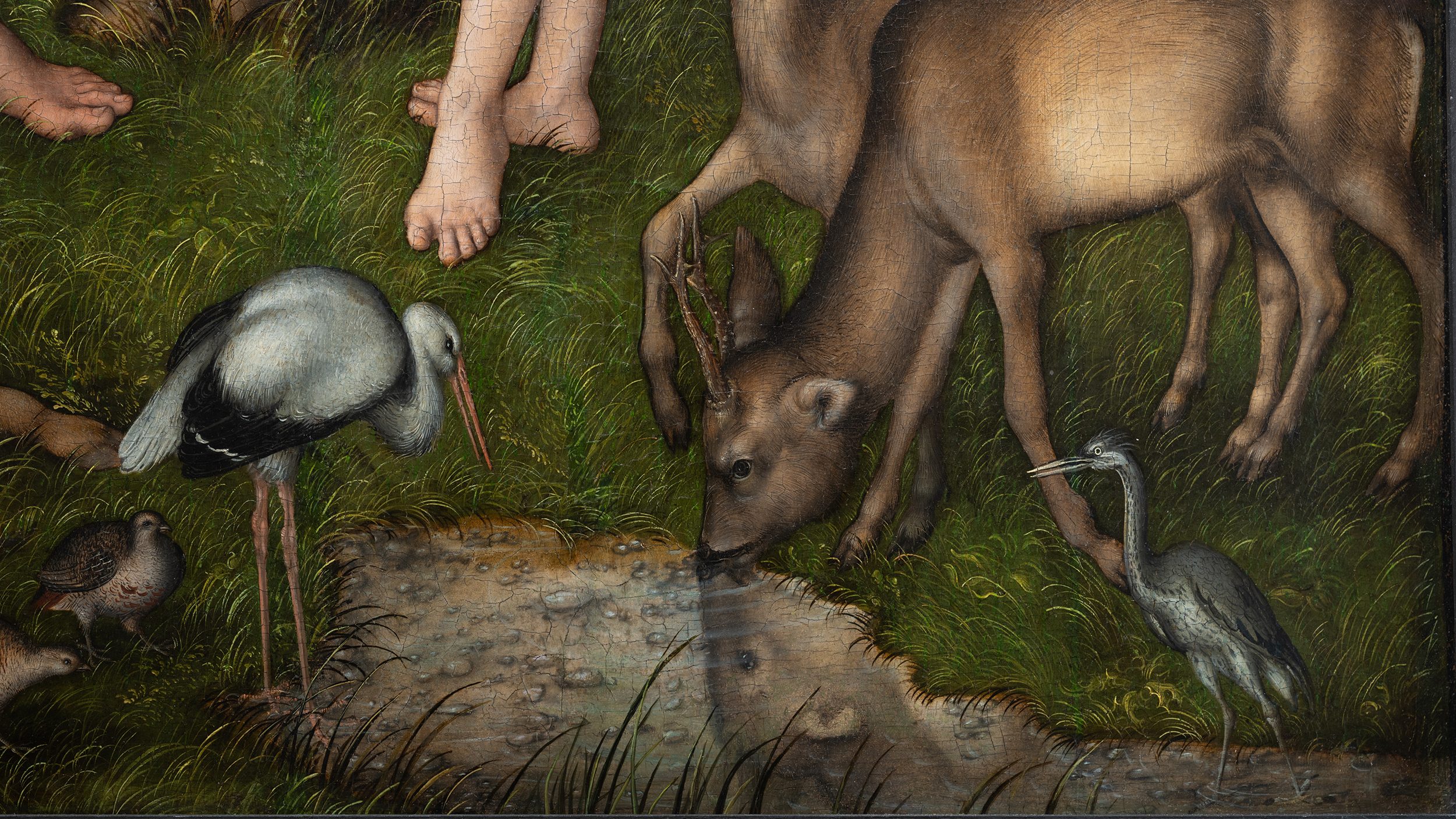 Detail from the painting by Lucas Cranach the Elder, Adam and Eve, 1526, oil on panel, Courtauld Gallery, London