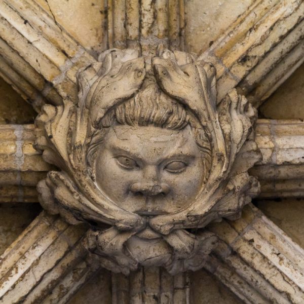 A face carved in stone, presumably a gargoyle on the side of a building. Leaves spill out from the mouth and upwards.