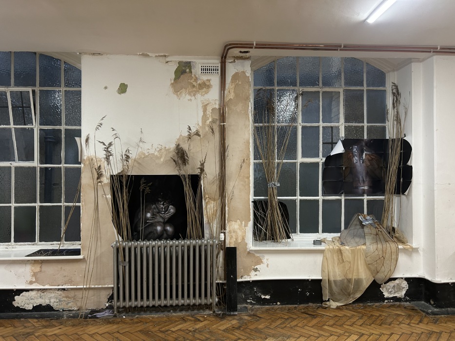 A photo of a sculpture still life including a radiator, long springs of pampas grass and butterfly wings. The arrangement is set up against a wall, with parquet flooring and dilapidated paint.