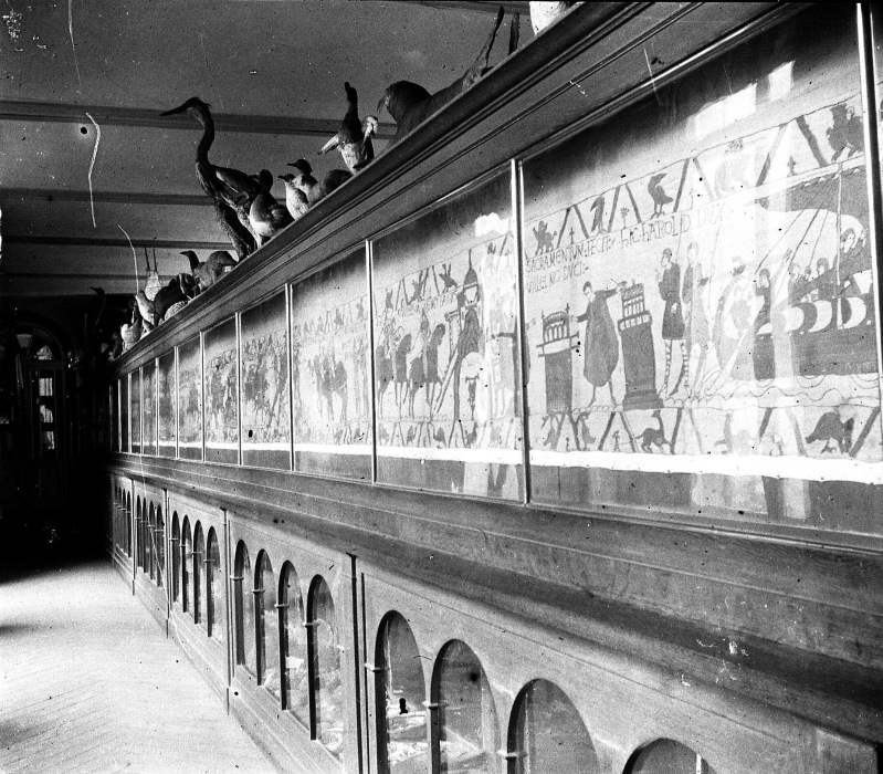 The Bayeux Tapestry as displayed in August 1908.
