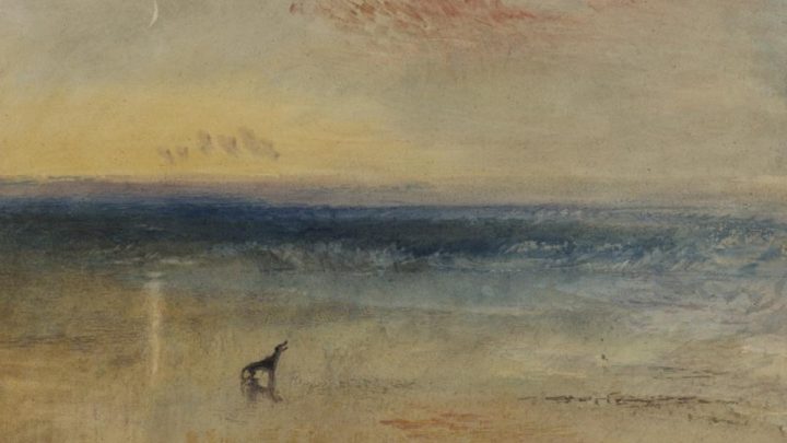 A watercolor of a dog on a beach, with loose colourwork blending beach, sea and sky.